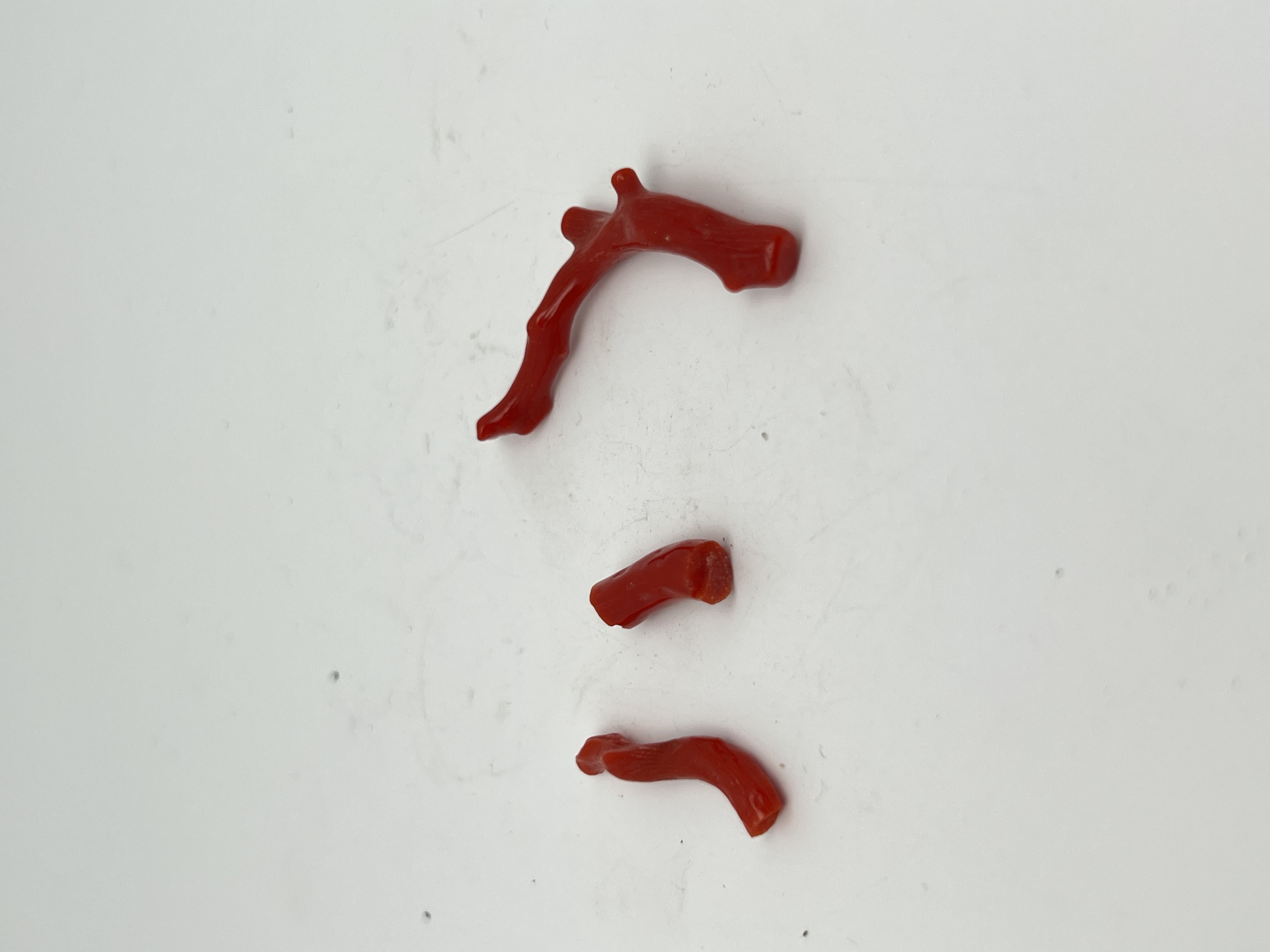 Коралл мелкий