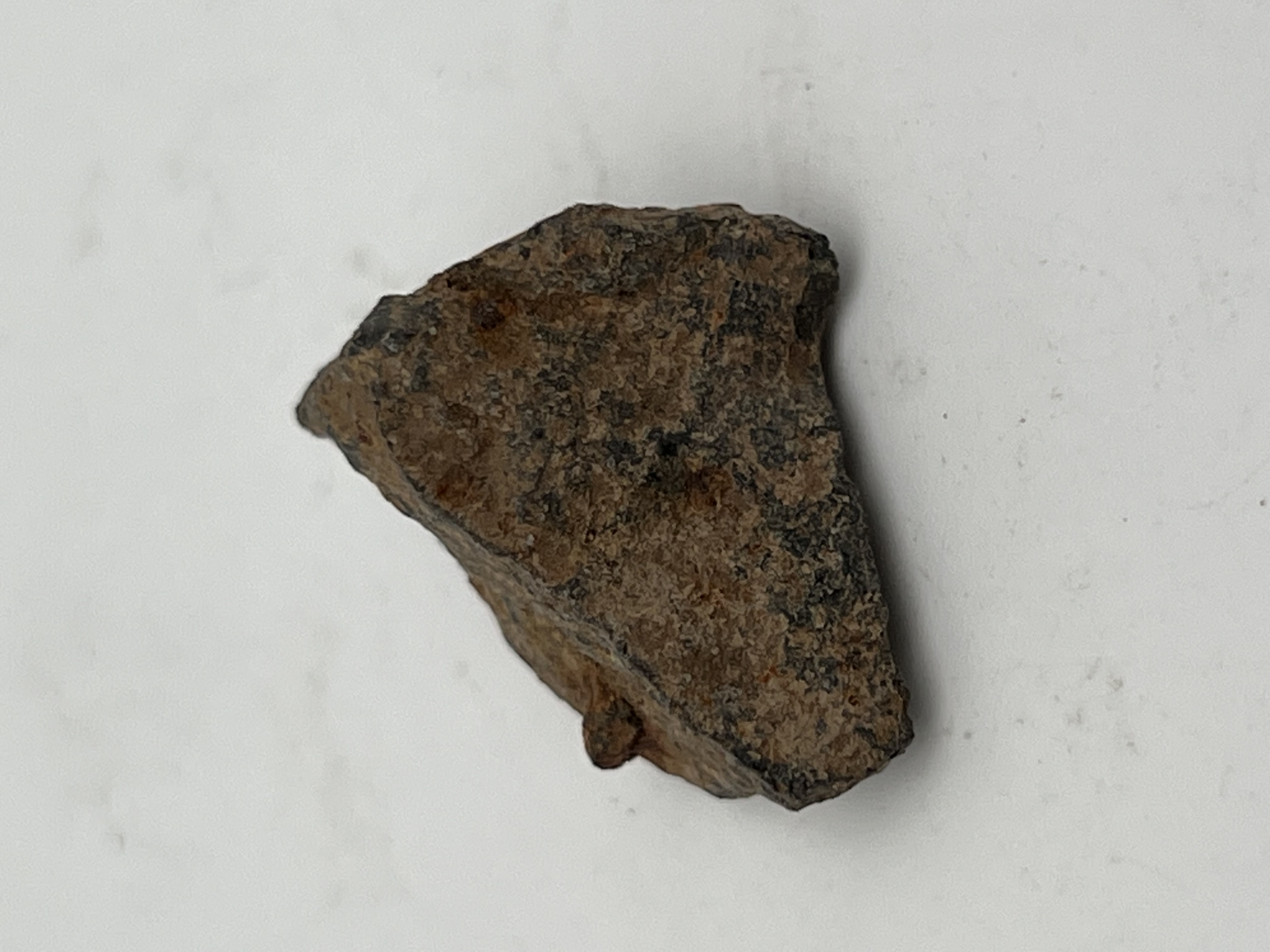 Метеорит Хондрит (Царев)
